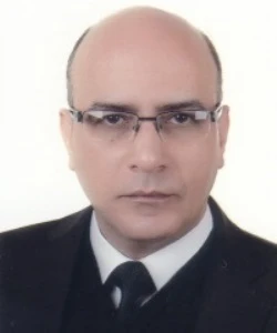 أ. د. فيصل غازي مجهول